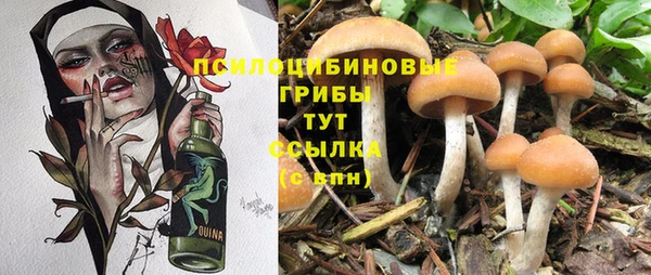хмурый Корсаков